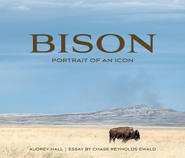 Bison- Portrait of an Icon by Audrey Hall and Chase Reynolds Ewald