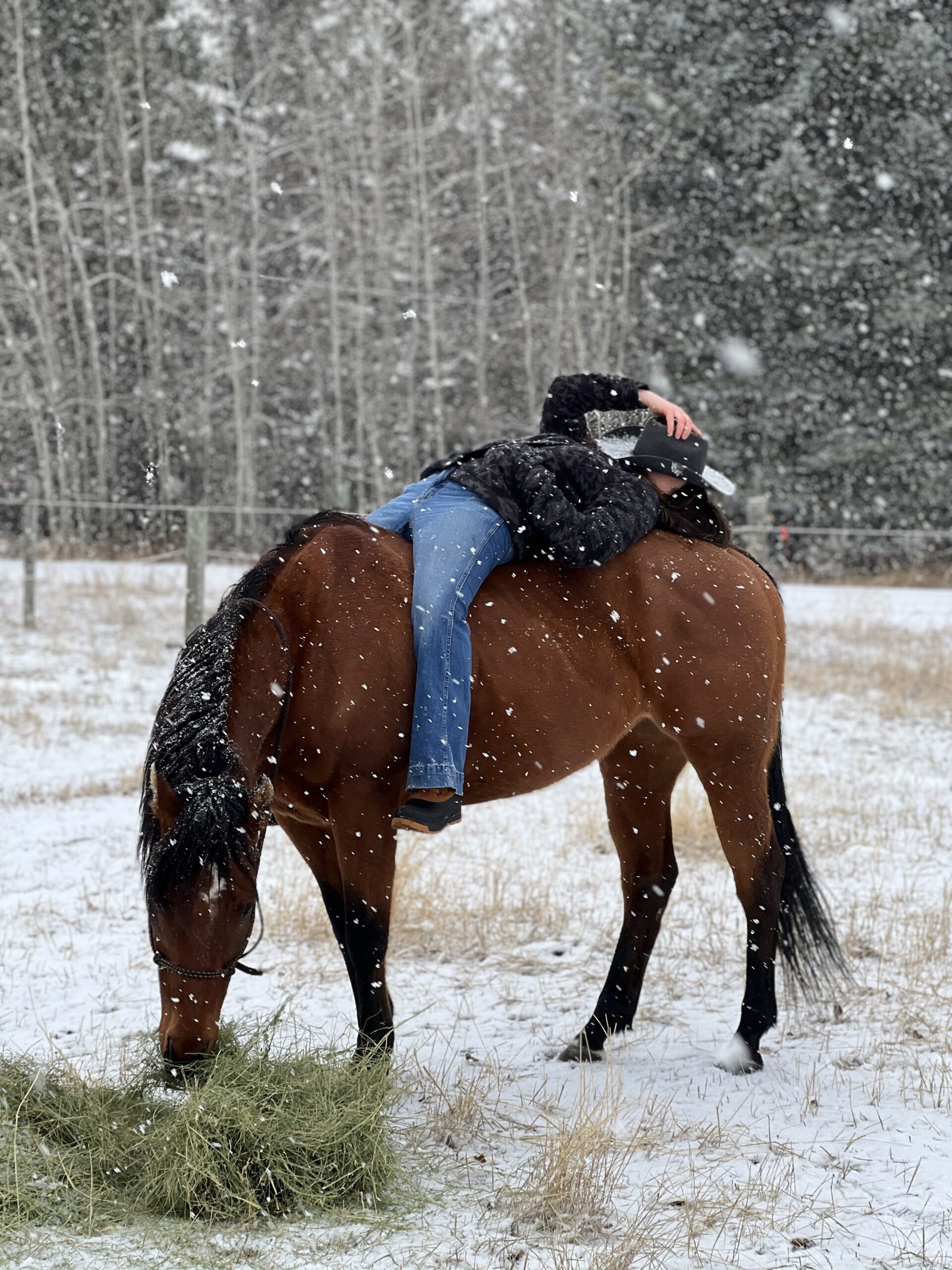 Laying back on my unbridled horse